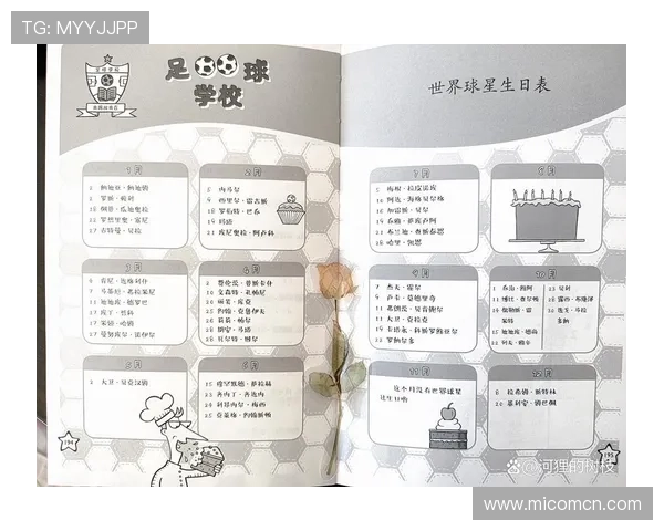 佩开头的足球明星们的辉煌成就与传奇故事解析